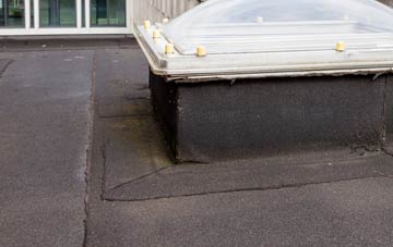 disadvantages of Wood Green flat roofs