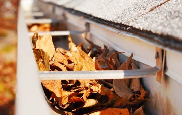 Wood Green gutter cleaning companies