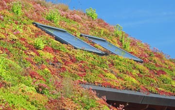 Wood Green living roof systems