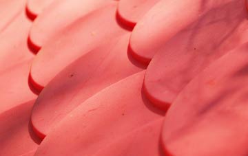 Wood Green plastic roof costs