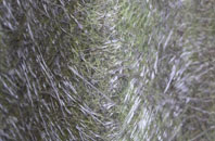 Wood Green fibreglass roof work