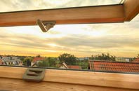 rated Wood Green roof window companies